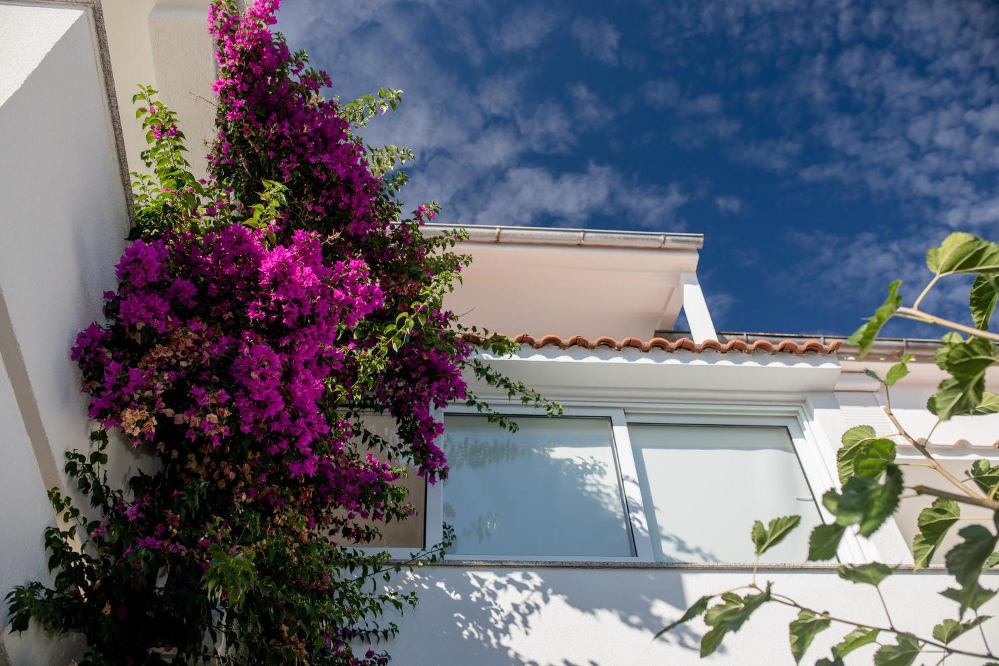 Apartman Rosa سوبيتارسكا دراغا المظهر الخارجي الصورة